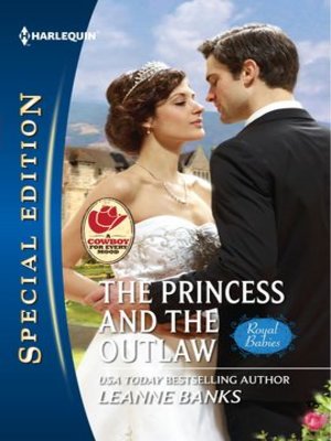 cover image of The Princess and the Outlaw